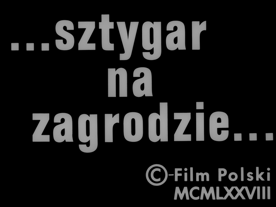 939db3cb886594dbc87d126c91bc123f.jpg